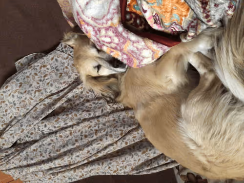 Untitled Collection #76674572