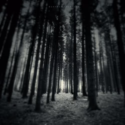 Item #113065873903366828743744079288708835697083018334279533284549130301003442159617 Media