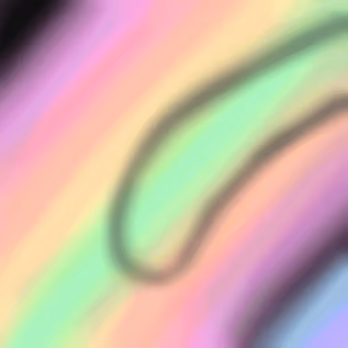 Untitled Collection #369962082