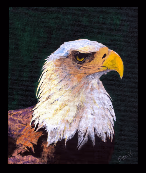 Item #88392049109375850439574262012811564620955616675651121480724544699500760924161 Media