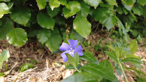 Item #98679578177621649628089872010712381059223698631184272161596299642154598268929 Media