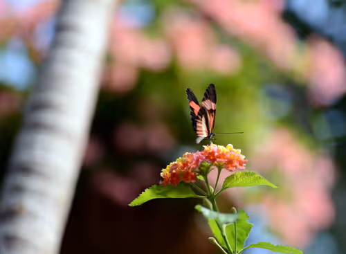 Item #16169064393399629467859942900905405490006492366557123064973208591118976942081 Media