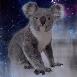 75086745474347274452093740593438062832653814310012917017256883123215728115713