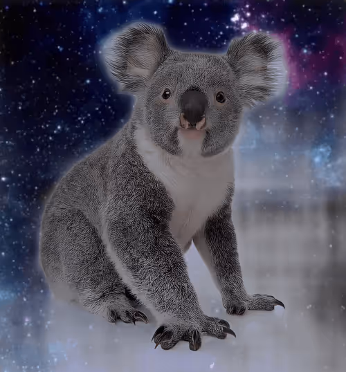 Item #75086745474347274452093740593438062832653814310012917017256883123215728115713 Media