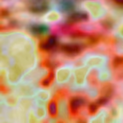 Microscopic Cosmos