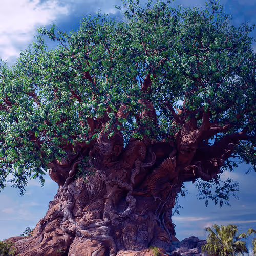 Item #88004996534824683595530724546599971679500479885653343253103225467120931307521 Media