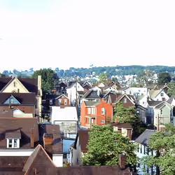 A Sea of House Roofs in Braddock
