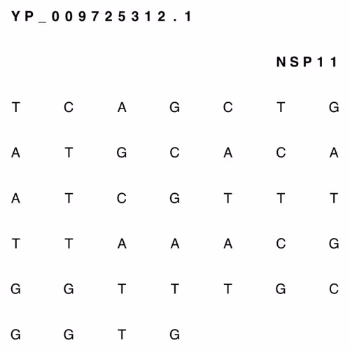 Item #65380618963620114885281271461439322618207565584775953371672302096610532261889 Media