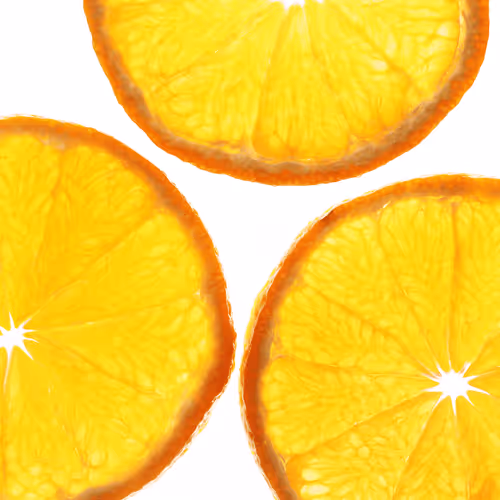 Item #975170699457049029614786954905647393768291899021253646124271944784637067265 Media