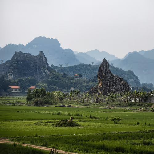 Item #80488266671287018131558448213082272878703229800970441297784273632386512584705 Media