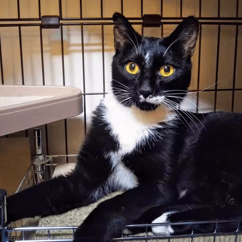 Item #21641457647604119415336293419062628234912656034096128592142110504639451365381 Media