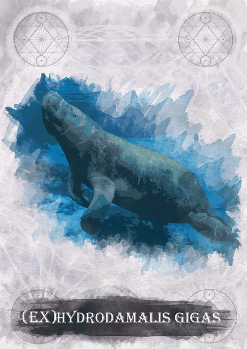 Item #108829080069432666427413762901192148077907568328307962474054884574942663278599 Media