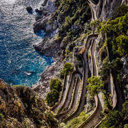 The route to the root