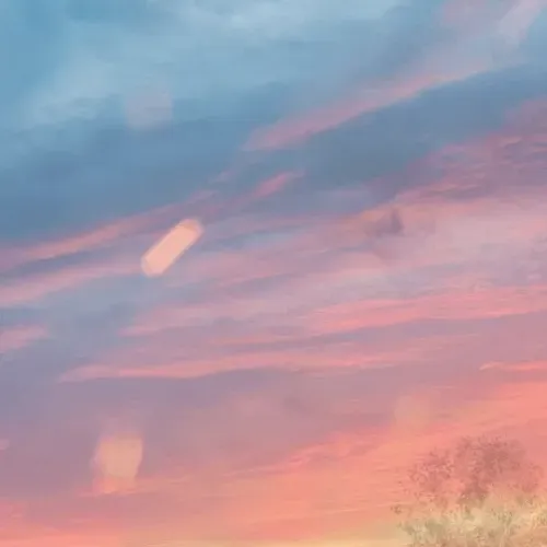 Untitled Collection #182240224