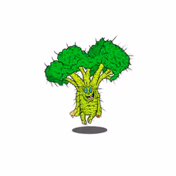 hairy broccoli 