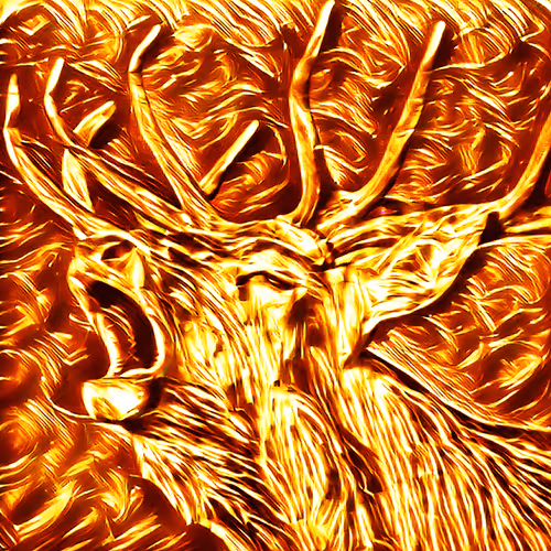 52425573336092519837726043644508007242056972111982820683155420208593541005313