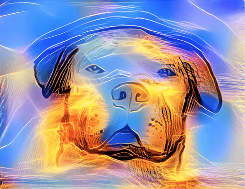 49934886084639979956635388938991289832418271326113173746571528075863471947777