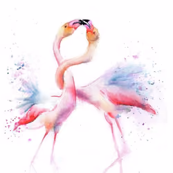 Love Flamingos