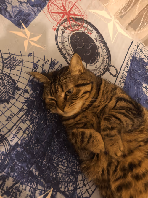 Item #87230644132242042715110404335498554471483528932516350554011268137133115703297 Media