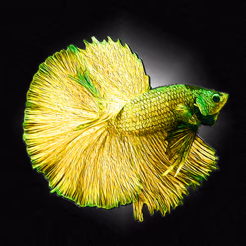 Item #73423654428024661336379470947819889295714855264791127270755008426987027955732 Media