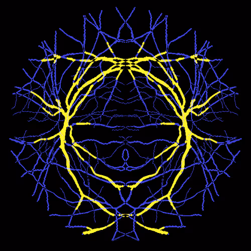 Item #7078802064077755305879053961196844759257248211509687953083586231046483476481 Media