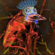 54660515347108810681375159558467547537166147374531208020972418767882031202305