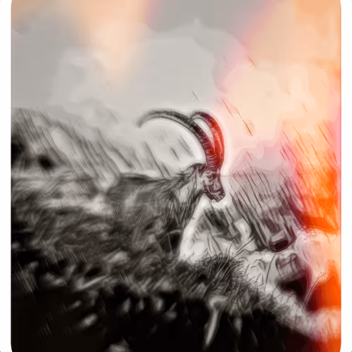Item #29766715601633112261074778936004247539077885588047069102564176210158092812289 Media