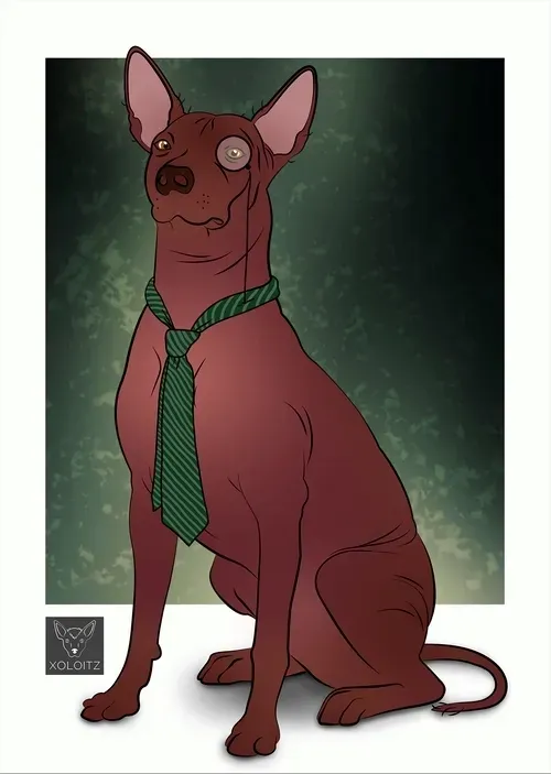 Item #115412186582648874764752321087999128692557907064492986516876109648043335221249 Media