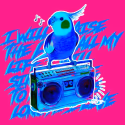 Cheerful Cockatiel #Chromapink