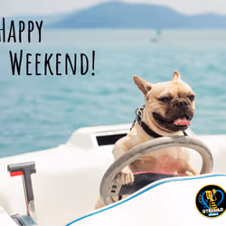 80317800320504061765698405195946639527219012869663641548799070454676933574657