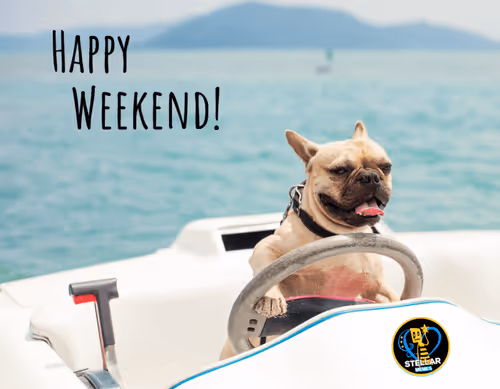 Item #80317800320504061765698405195946639527219012869663641548799070454676933574657 Media