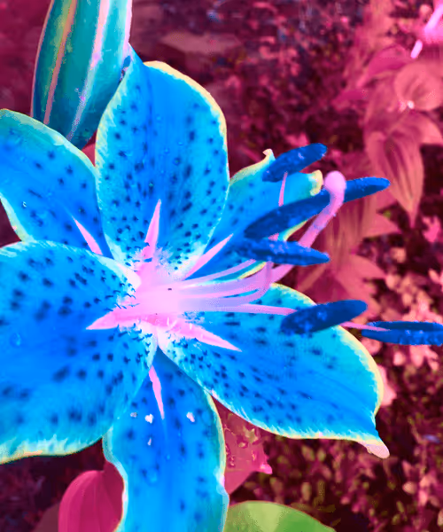 Item #53308188614165939190022800587925776763215599610313940970798170253574537216100 Media