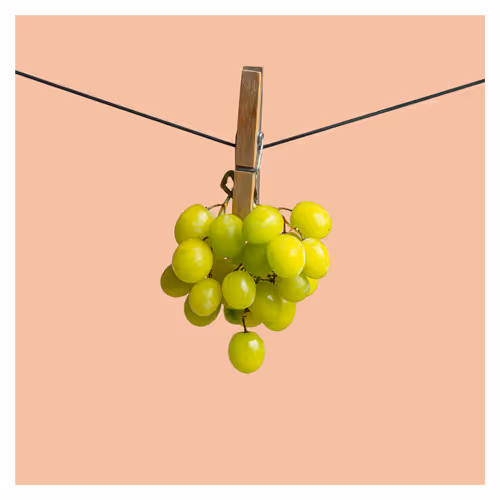 Item #42948586841452145743062165540431714501245146822176452144781213435547210481669 Media