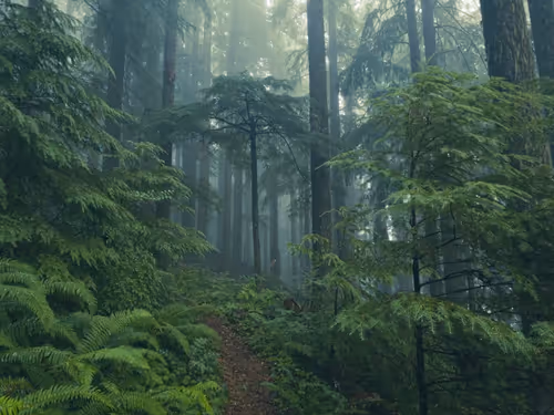 Item #2005862319158051831365229387864138466486092287762213337058068735122189844481 Media