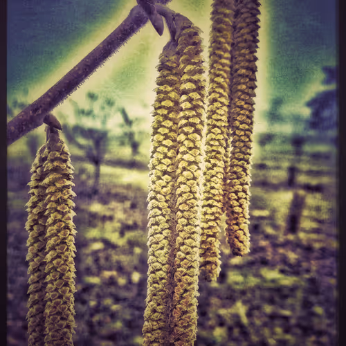 3787080761074609709675817509753112159059746763483256848434353522612035911681