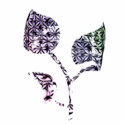 Humonmode Amara (15)