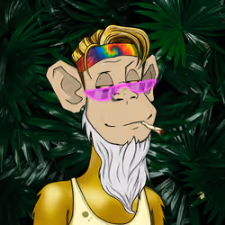 MONKEYHYPE #3319
