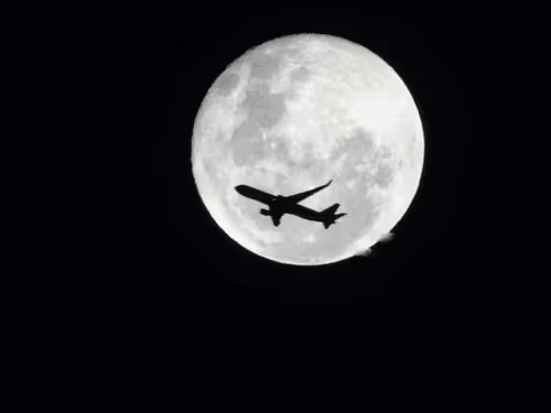 Item #27026429797663960894068592129570781237058335186511591626639238138982232489994 Media