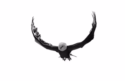 ETHEAGLE 