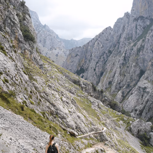 Item #24545568504354300633593058674469301359110780642168040344765706396482653913089 Media