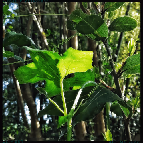 3787080761074609709675817509753112159059746763483256848434353706230477750273