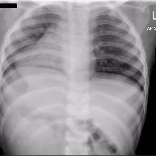 Item #752801081653893750488884834832447654236439754838034297673709749463181950977 Media