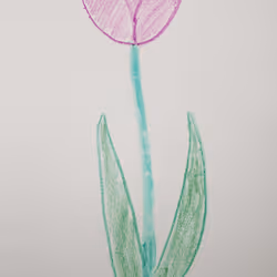 92060496778179765583685119579728199768113101913008289433487704770412464308225