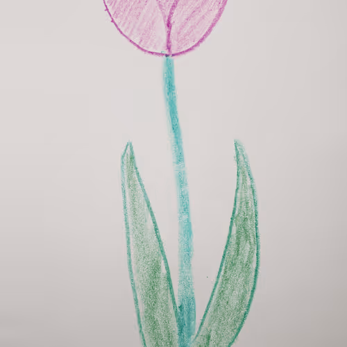 92060496778179765583685119579728199768113101913008289433487704770412464308225