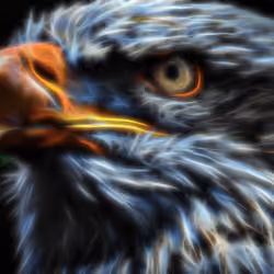 EagleXGrandfa #7