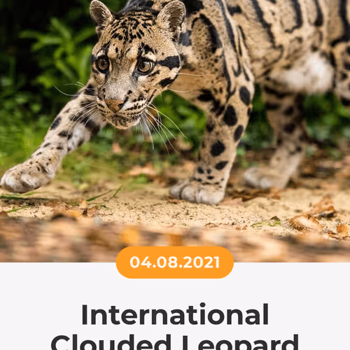 84967509520196306123188380026293221301468344843151761076076916640901186453505