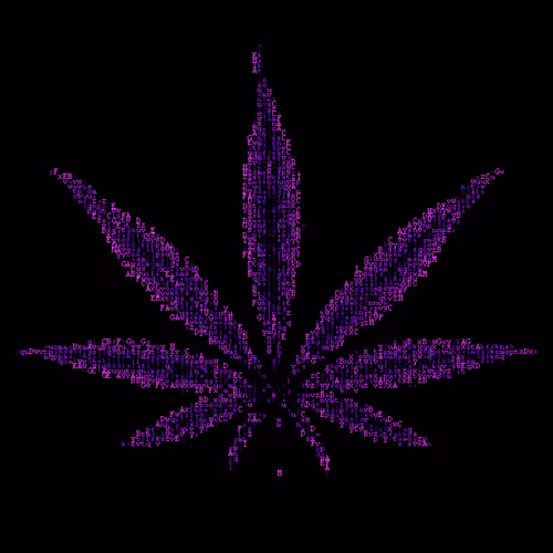 Item #73730562326191716881461757681999681561108071941178858700687942214372835721217 Media