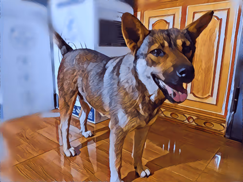 Item #74122138759525378795667626270866148487737655975912799548892275882312729624577 Media