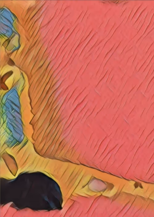 Item #28817999449131215171545490538415490750384992368944775550286936417463670145025 Media