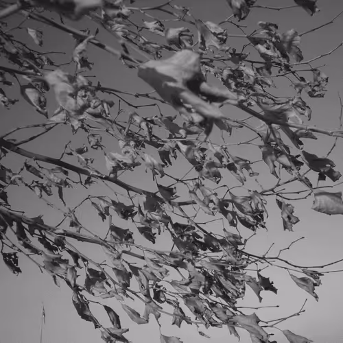 Item #107742627867956892364714120184147413803821811265510288122929724897140896956417 Media